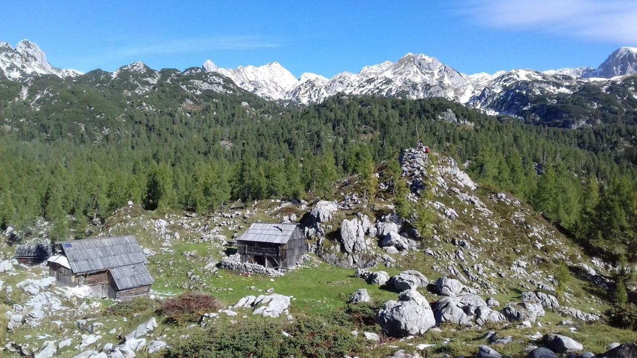 Apartamento Hiska Henrik Zalokar Bohinj Exterior foto